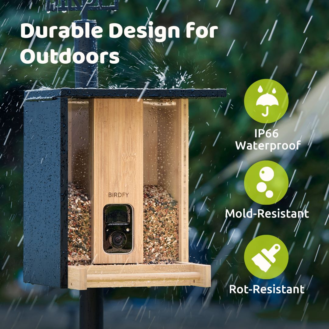 Birdfy Feeder Bamboo - Upgraded Smart Bird Feeder for Your Backyard